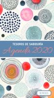 2020 Planificador - Tesoros De Sabiduría - Círculos Geométricos De Durazno Y Gris