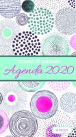 2020 Planificador - Tesoros De Sabiduría - Círculos Geométricos De Rosa Y Azul