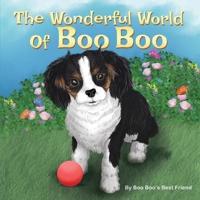 The Wonderful World Of Boo Boo