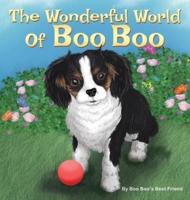 The Wonderful World Of Boo Boo