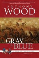 Gray & Blue: A Novel of the Civil War
