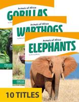 Animals of Africa (Set of 10). Paperback