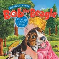 The Adventures of Bob the Beagle: Finding A New Family