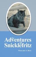 The Adventures of Snicklefritz