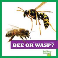 Bee or Wasp?