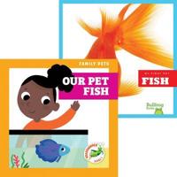 Fish + Our Pet Fish