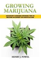 Growing Marijuana: How to Grow Marijuana Indoors and Outdoors: Advanced Cannabis Growing Tips to Become an Expert on Horticulture