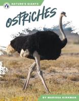 Ostriches. Paperback