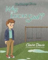 Feelings Series Why Is Lucas S