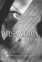 Misandria