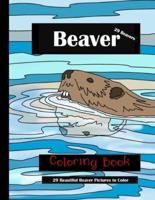 Beaver Coloring Book