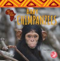 Baby Chimpanzees