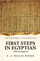 First Steps in Egyptian A Book for Beginners