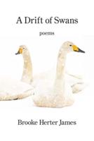 A Drift of Swans