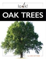 Oak Trees