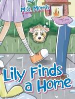 Lily Finds a Home