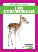 Los Cervatillos