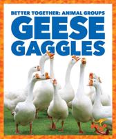 Geese Gaggles