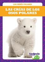 Las Crías De Los Osos Polares
