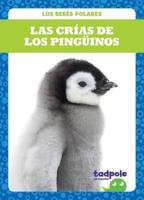 Las Crías De Los Pingüinos