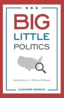 Big Little Politics