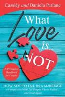 What Love Is Not: How Not to Fail in a Marriage: A Perspective from Two People Who've Failed...and Tried Again