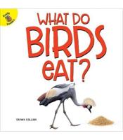 What Do Birds Eat?