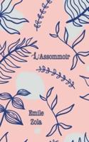 L'Assommoir