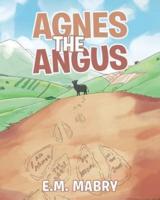Agnes the Angus