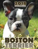 Boston Terrier 2018 Calendar