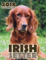 Irish Setter 2018 Calendar