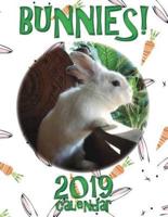 Bunnies! 2019 Calendar