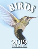 Birds 2019 Calendar