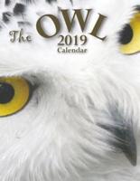 The Owl 2019 Calendar