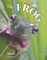 The Frog 2019 Calendar