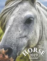 The Horse 2019 Calendar