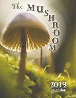 The Mushroom 2019 Calendar