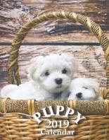 Puppy 2019 Calendar