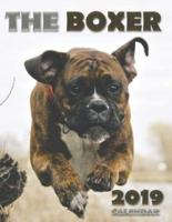 The Boxer 2019 Calendar