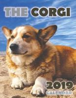 The Corgi 2019 Calendar