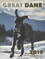 Great Dane 2019 Calendar