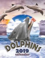 Dolphins 2019 Calendar