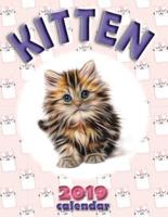 Kitten 2019 Calendar