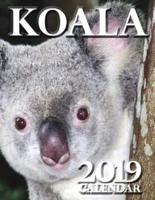 Koala 2019 Calendar