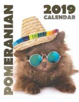 Pomeranian 2019 Calendar