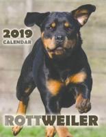 Rottweiler 2019 Calendar