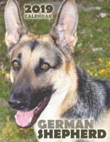 German Shepherd 2019 Calendar