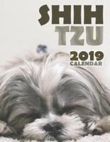 Shih Tzu 2019 Calendar