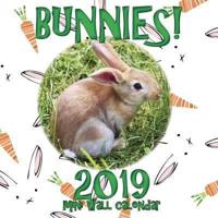 Bunnies! 2019 Mini Wall Calendar