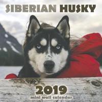 The Siberian Husky 2019 Mini Wall Calendar
